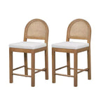 Sgabelli da bancone imbottiti Christopher Knight Home Kinich Boho in rattan e legno di gomma (set da 2)