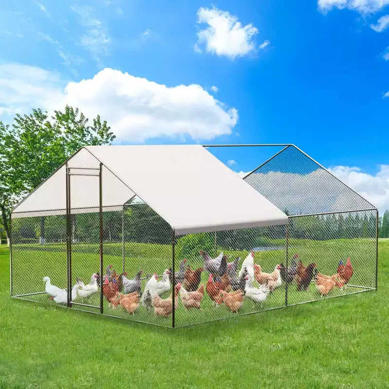 Pollaio, Recinto Grande in Metallo per Galline da 4 m con Tettoia - Tetto a Punta, Lucchetto per Fattoria in Giardino, Anatre, Conigli