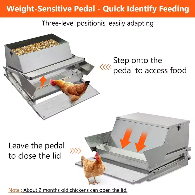Mangiatoia per Galline, Automatica 12,2 kg Acciaio Zincato - A Pedale, Anti Ratti, Zero Sprechi, Alimenta 10 Galline per 11 Giorni, Adatta per Anatre, Galline Nane, Fagianidi
