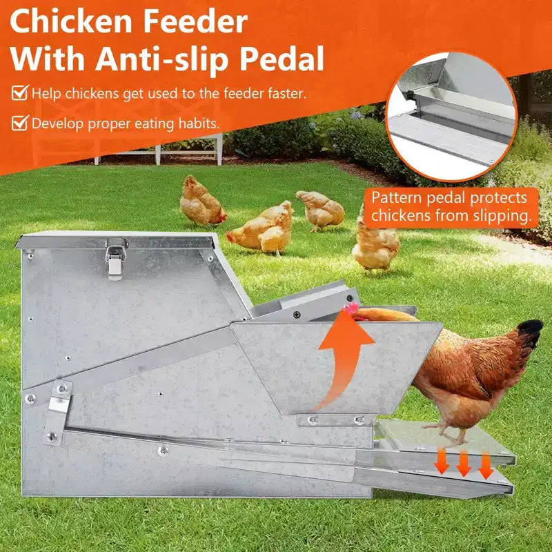 Mangiatoia per Galline, Automatica 12,2 kg Acciaio Zincato - A Pedale, Anti Ratti, Zero Sprechi, Alimenta 10 Galline per 11 Giorni, Adatta per Anatre, Galline Nane, Fagianidi
