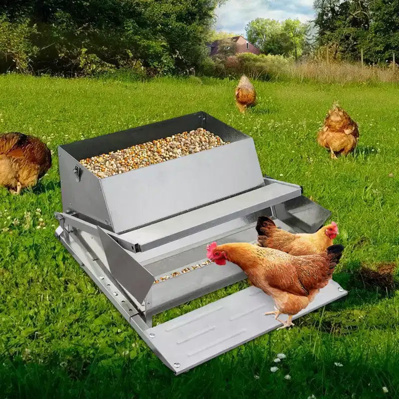 Mangiatoia per Galline, Automatica 12,2 kg Acciaio Zincato - A Pedale, Anti Ratti, Zero Sprechi, Alimenta 10 Galline per 11 Giorni, Adatta per Anatre, Galline Nane, Fagianidi