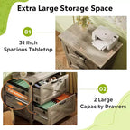 GALAXHERO Cassettiera Portadocumenti Laterale a 2 Cassetti con Serratura, Supporto per Stampante in Legno per Ufficio Domestico, Adatta per Formato Letter/Legal/A4