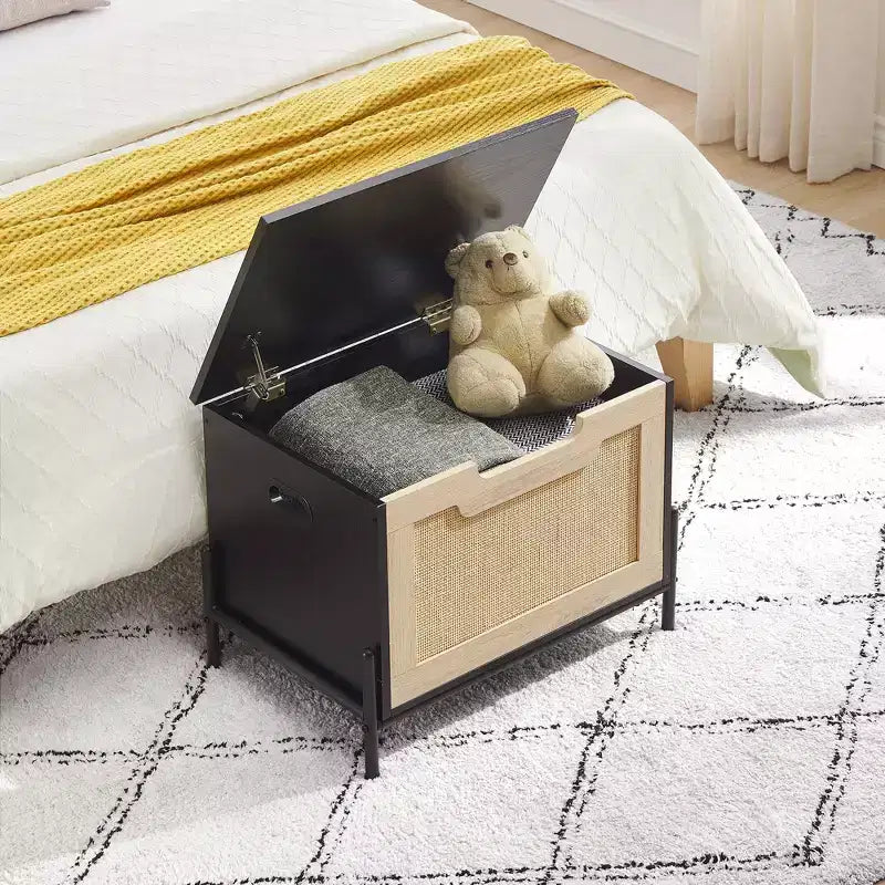Panca da Ingresso con Contenitore, Panche Contenitore per Soggiorno Camera da Letto con Seduta Organizer