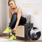 Panca da Ingresso con Contenitore, Panche Contenitore per Soggiorno Camera da Letto con Seduta Organizer