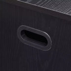 Panca da Ingresso con Contenitore, Panche Contenitore per Soggiorno Camera da Letto con Seduta Organizer