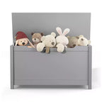 Whisen Kids Contenitore Porta Giocattoli, Mobili Contenitori Utility con Coperchio a Cerniera di Sicurezza per Bambini dai 2 Anni in su, Montaggio Rapido