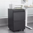 2 Drawer Lockable Metal Rolling File Cabinet, Under Desk Mobile Filing Cabinet